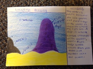 This is a sketch of a rip and how it's made. Also it has a paragraph describing why the water is purple and how rips are made.